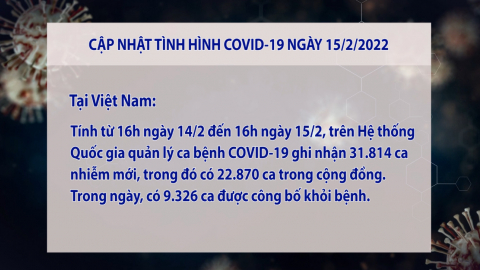 Cập nhật Covid -19 Tối ng&agrave;y 15/02/2022