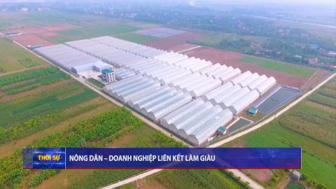 N&ocirc;ng d&acirc;n - Doanh nghiệp li&ecirc;n kết l&agrave;m gi&agrave;u
