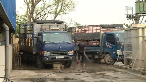 Tuần qua, gi&aacute; thịt lợn hơi c&oacute; xu hướng tăng nhẹ