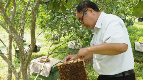 Li&ecirc;n minh HTX ph&aacute;t triển tổ chức th&agrave;nh vi&ecirc;n