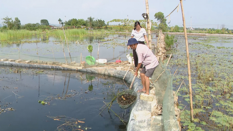 Gia Viễn tập trung ph&aacute;t triển n&ocirc;ng nghiệp h&agrave;ng h&oacute;a