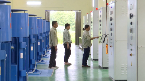 Tập trung bơm ti&ecirc;u r&uacute;t nước để sản xuất vụ đ&ocirc;ng