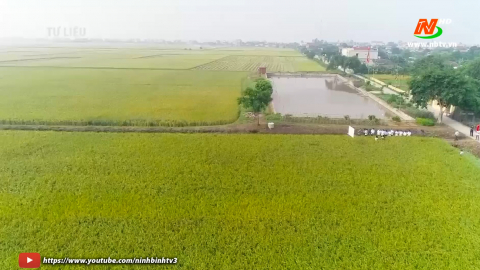 Y&ecirc;n Kh&aacute;nh n&acirc;ng cao gi&aacute; trị tr&ecirc;n 1ha đất canh t&aacute;c