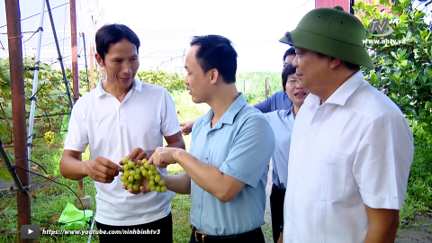 Khảo s&aacute;t x&acirc;y dựng n&ocirc;ng th&ocirc;n mới n&acirc;ng cao tại huyện Y&ecirc;n M&ocirc;