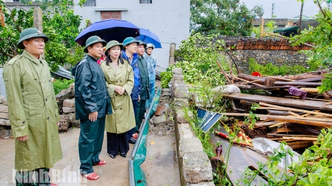 Chỉ đạo khắc phục hậu quả do lốc xo&aacute;y tại 2 phường L&yacute; Thường Kiệt v&agrave; Kim Bảng
