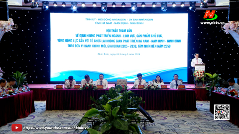 Hội thảo tham vấn ph&aacute;t triển tỉnh H&agrave; Nam - Nam Định - Ninh B&igrave;nh theo đơn vị h&agrave;nh ch&iacute;nh mới