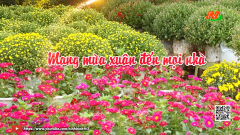 Mang m&ugrave;a xu&acirc;n đến mọi nh&agrave;
