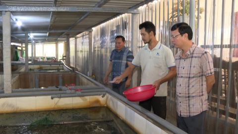 Đa dạng phương thức nu&ocirc;i trồng thủy sản th&iacute;ch ứng biến đổi kh&iacute; hậu