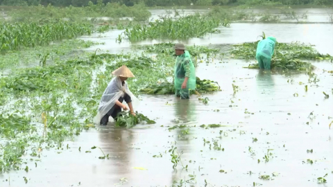 Nước s&ocirc;ng Đ&aacute;y d&acirc;ng cao, nhiều diện t&iacute;ch đất b&atilde;i ven s&ocirc;ng ngập &uacute;ng