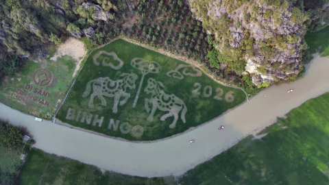 Chăm s&oacute;c c&aacute;nh đồng nghệ thuật Tam Cốc đ&oacute;n Tuần du lịch Ninh B&igrave;nh 2026