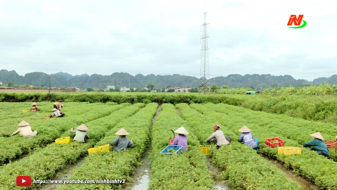 Mở rộng ứng dụng khoa học kỹ thuật v&agrave;o sản xuất n&ocirc;ng nghiệp