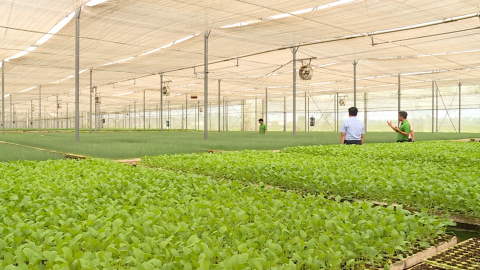 Ph&aacute;t triển n&ocirc;ng nghiệp c&ocirc;ng nghệ cao th&uacute;c đẩy minh bạch n&ocirc;ng sản