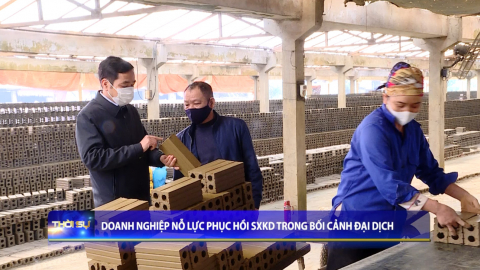 Doanh nghiệp nỗ lực phục hồi SXKD trong bối cảnh đại dịch