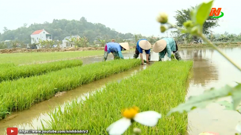 Lan tỏa hoạt động tương th&acirc;n, tương &aacute;i dịp 8.3