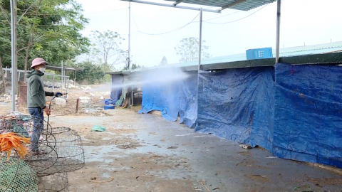 Tăng cường ph&ograve;ng, chống r&eacute;t cho đ&agrave;n vật nu&ocirc;i