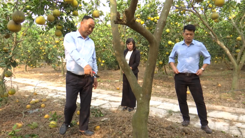 Quỹ hỗ trợ n&ocirc;ng d&acirc;n tỉnh kỳ vọng th&uacute;c đẩy sản xuất, quy tụ hội vi&ecirc;n