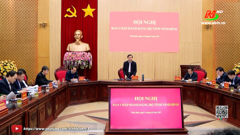 Hội nghị Ban Chấp h&agrave;nh Đảng bộ tỉnh Ninh B&igrave;nh ng&agrave;y 14/02/2025