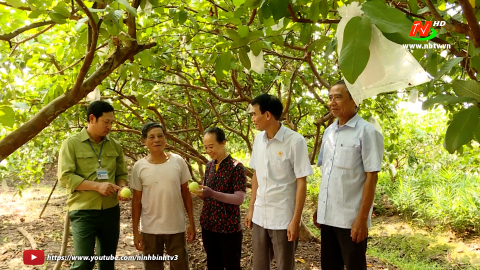 Hội Cựu chiến binh x&atilde; Kh&aacute;nh Th&agrave;nh gi&uacute;p nhau ph&aacute;t triển kinh tế