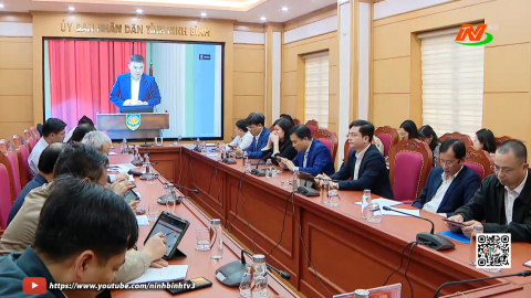 Hội nghị trực tuyến to&agrave;n quốc hướng dẫn thống k&ecirc;, r&agrave; so&aacute;t thủ tục h&agrave;nh ch&iacute;nh ở 3 cấp ch&iacute;nh quyền