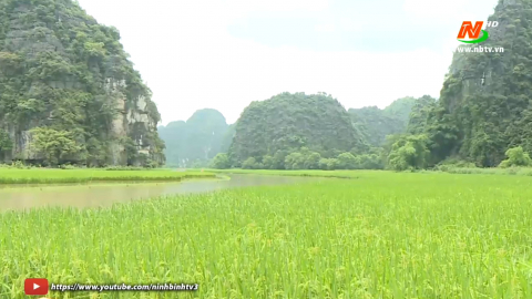 Hoa Lư sẵn s&agrave;ng cho tuần du lịch Ninh B&igrave;nh