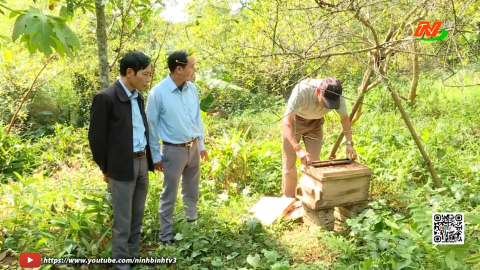 N&ocirc;ng d&acirc;n Ninh B&igrave;nh thi đua l&agrave;m kinh tế giỏi