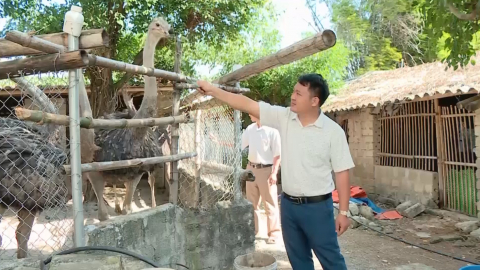 Y&ecirc;n Đồng đẩy mạnh ph&aacute;t triển kinh tế n&ocirc;ng nghiệp