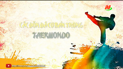 C&aacute;c đ&ograve;n đ&aacute; cơ bản trong taekwondo