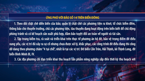 Ứng ph&oacute; với b&atilde;o số 14 tr&ecirc;n biển Đ&ocirc;ng