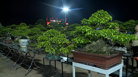 Khai mạc Triển l&atilde;m c&acirc;y cảnh nghệ thuật v&agrave; quảng b&aacute; sản phẩm ti&ecirc;u biểu x&atilde; Y&ecirc;n Đồng lần thứ I năm 2026