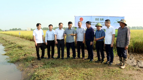 L&atilde;nh đạo UBND tỉnh kiểm tra SXNN v&agrave; ph&aacute;t triển kinh tế biển tại Giao Minh, Giao Ninh