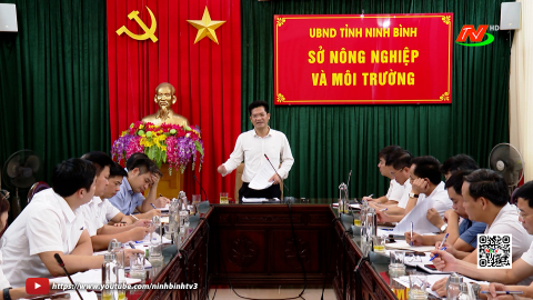 Đồng ch&iacute; Ph&oacute; Chủ tịch UBND tỉnh l&agrave;m việc với Sở N&ocirc;ng nghiệp v&agrave; M&ocirc;i trường