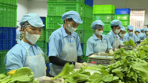 Minh bạch th&ocirc;ng tin n&ocirc;ng sản bằng m&atilde; QR