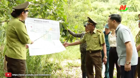 Ninh B&igrave;nh chủ động ph&ograve;ng chống ch&aacute;y rừng