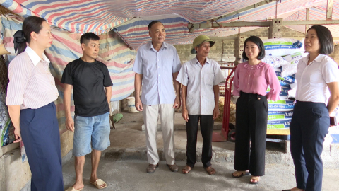 Hiệu quả của c&aacute;c Trung t&acirc;m dịch vụ sự nghiệp c&ocirc;ng