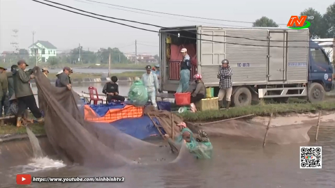 T&iacute;ch cực nu&ocirc;i trồng thủy sản theo hướng hữu cơ