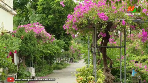 Ng&ocirc;i l&agrave;ng hoa giấy