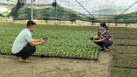 Đổi mới hoạt động, n&acirc;ng cao hiệu quả c&aacute;c phong tr&agrave;o thi đua