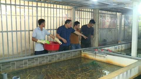 L&agrave;m gi&agrave;u từ con nu&ocirc;i thủy sản 