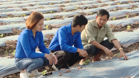 Thanh ni&ecirc;n Y&ecirc;n Kh&aacute;nh l&agrave;m gi&agrave;u tr&ecirc;n qu&ecirc; hương