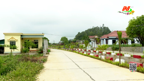Xu&acirc;n về tr&ecirc;n những miền qu&ecirc; n&ocirc;ng th&ocirc;n mới Tam Điệp