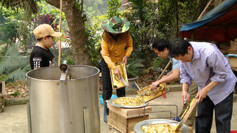 Mật ong rừng C&uacute;c Phương khẳng định thương hiệu địa phương