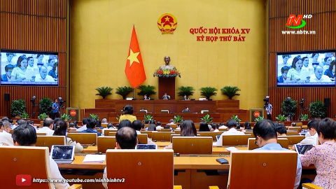 Quốc hội thảo luận về một số nội dung của dự thảo Luật Bảo hiểm x&atilde; hội (sửa đổi)