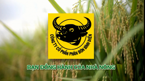 C&ocirc;ng ty Cổ phần Ph&acirc;n b&oacute;n B&igrave;nh Điền - Bạn đồng h&agrave;nh của nh&agrave; n&ocirc;ng