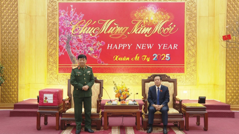 Hội đồng hương Ninh B&igrave;nh tại H&agrave; Nội v&agrave; Hải Ph&ograve;ng ch&uacute;c Tết tỉnh
