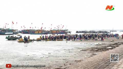 Những chuyến ra khơi đưa Tết về