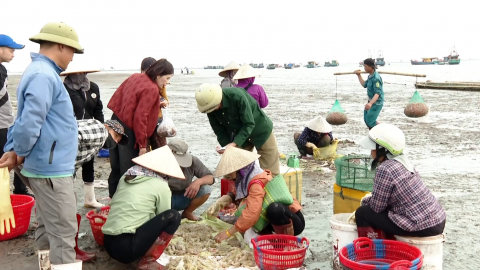 T&iacute;ch cực ph&aacute;t triển kinh tế biển bền vững