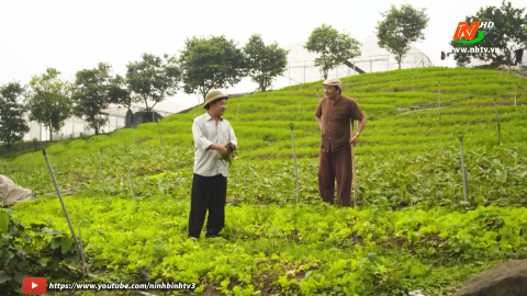 Tuyệt chi&ecirc;u nh&agrave; n&ocirc;ng: Nu&ocirc;i c&aacute; an to&agrave;n kh&ocirc;ng sử dụng kh&aacute;ng sinh trong ao