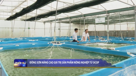 Đ&ocirc;ng Sơn n&acirc;ng cao gi&aacute; trị sản phẩm n&ocirc;ng nghiệp từ OCOP