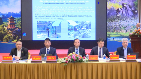 Hội thảo khoa học quốc tế:" X&aacute;c lập gi&aacute; trị nổi bật to&agrave;n cầu v&agrave; lộ tr&igrave;nh đề cử Di sản Thế giới Quần thể Tam Ch&uacute;c-V&acirc;n Long"