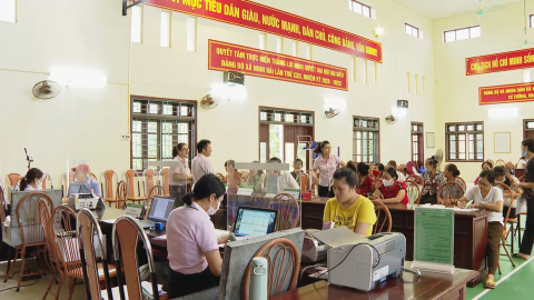 Hiệu quả nghị quyết số 11 của ch&iacute;nh phủ